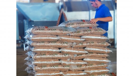 PRODUCTION AND SHIPMENTS